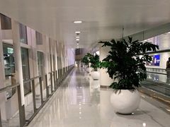 -杭州萧山国际机场