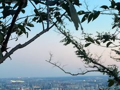 -鬼笑石后山停车场