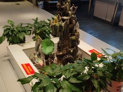 -钱记·乡野菜(紫荆花路店)