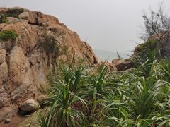 -那琴半岛地质海洋公园