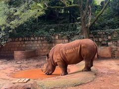 -昆明动物园