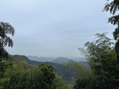 -莫干山风景区