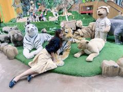 -济州岛泰迪熊博物馆