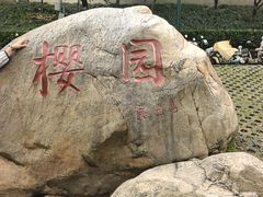 -武汉大学-樱园