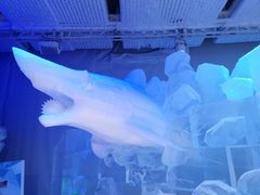 -世界之窗阿尔卑斯冰雪世界