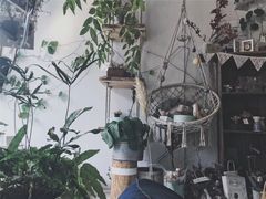 -鲜芋仙(观音桥大融城LG店)