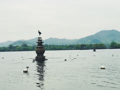 -西湖外事游船(花港观鱼码头)