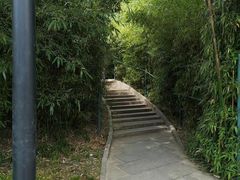 -丰台花园