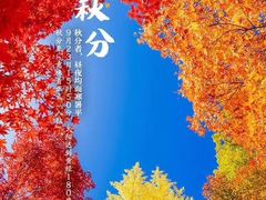 -杭州萧山国际机场