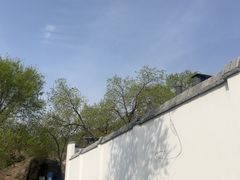 -白水寺森林公园