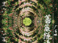 -广富林郊野公园