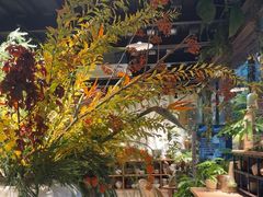 -自由生长植物工作室(深港花卉中心店)