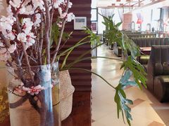-Local泰莲庭(虹鳟鱼店)