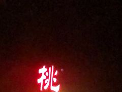 门面-桃姐农庄老字号(从化温泉店)