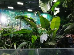 -上海大自然野生昆虫馆(东方明珠·爬宠昆虫探索中心)