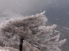 -灵山