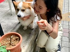 -小梁哥云吞面(黄贝岭店)