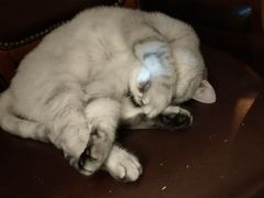 -不舍昼夜咖啡馆