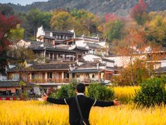 -塔川景区