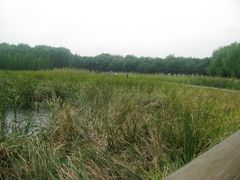 -昆山城市生态森林公园