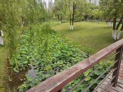 -沐仙湖湿地公园