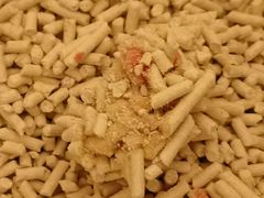 -宠福鑫动物医院(城北分院)