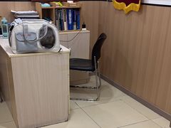 -米苏动物医院·犬猫专科·骨科外科内窥镜