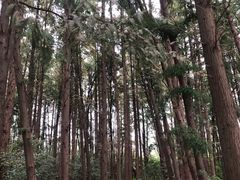 -同里国家湿地公园