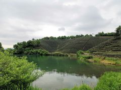 -龙坞茶村