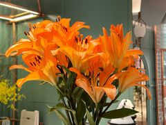 -南堂馆·新川菜(春熙路店)