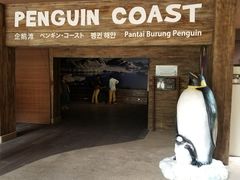 -新加坡飞禽公园