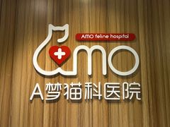 -御宝贝·A梦猫科宠物医院(国际猫友好医院)
