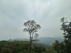 -广州市帽峰山景区