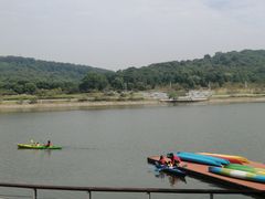 -羊山湖公园