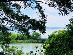 -上海市保健医疗中心(华东疗养院)