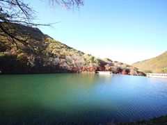 -龙道沟景区