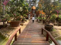 -呀路古热带植物园