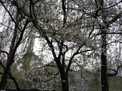 -西南交通大学(九里校区)