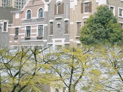 -成都南湖公园