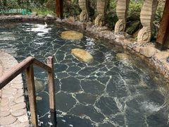 -明月山天沐温泉度假村