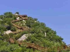 -大岭沟猕猴桃谷风景区