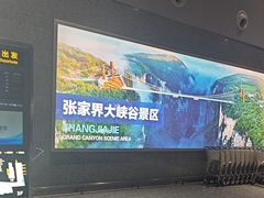 -张家界荷花国际机场