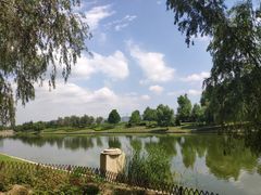 -羊亭河湿地公园