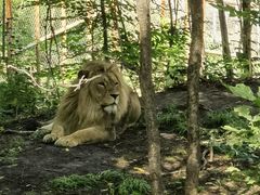 -哈尔滨北方森林动物园