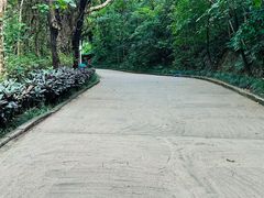 -小南山公园