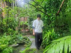 -绿光森林餐厅