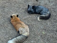 -祥源·阜阳生态乐园