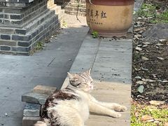 -长春观