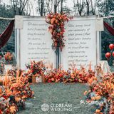 🧡堕入陷阱丨温暖橙色调