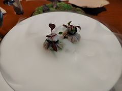 -觀芷隐轩